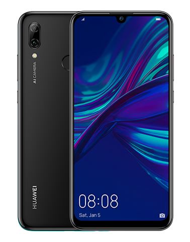 P Smart 2019 2020