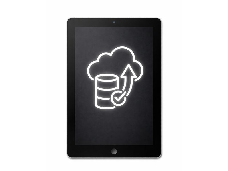 iPad mini 6 Datenrettung